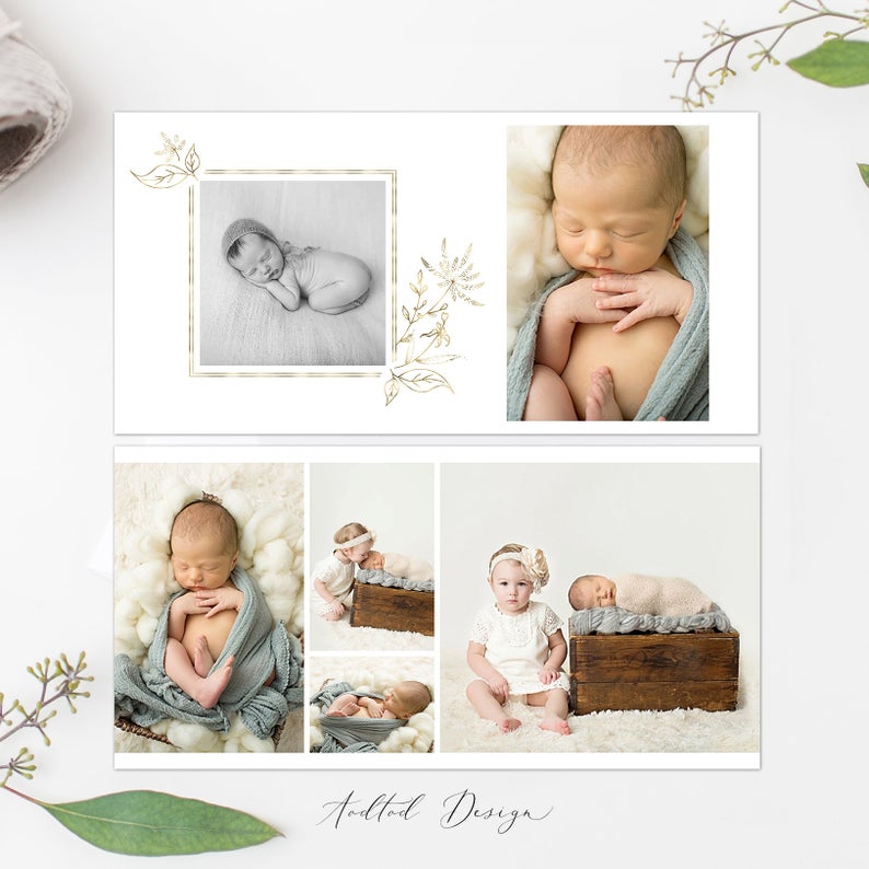 12x12 Baby Photo Book Template, New Newborn Photo Book Album, Photography, Photoshop, Flower Girl, PSD, Instant Download #A004-PSD
