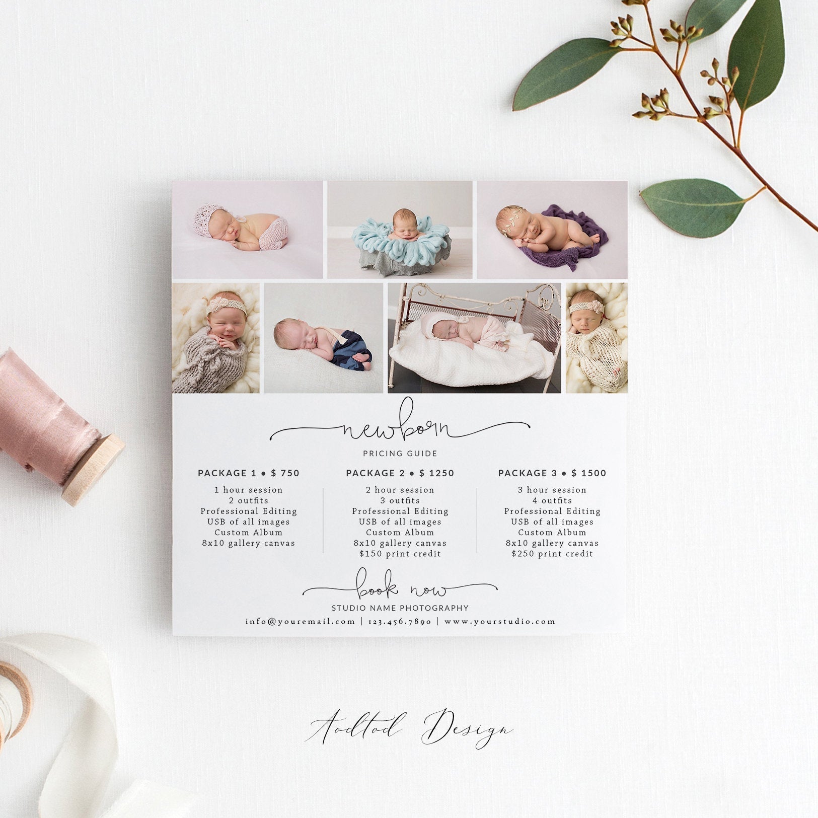 Photography Pricing Template, Price Guide List for Photographers, Photography Photo Price Sheet, Price Guide Template, PSD #NM020-PSD