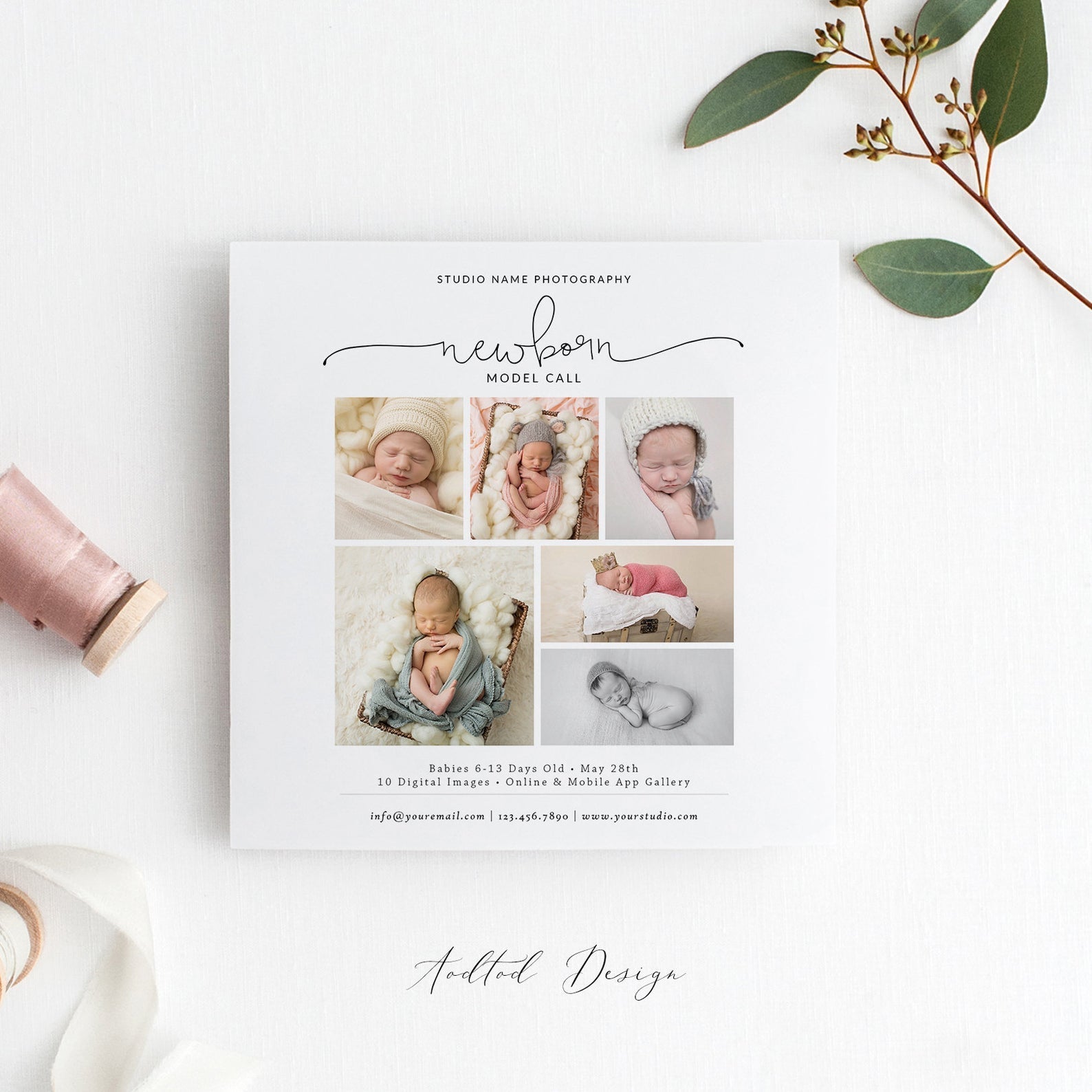 Newborn Model Call Template, Marketing Template, Casting Call Template, PSD, Instant Download #Y20-NM39-PSD